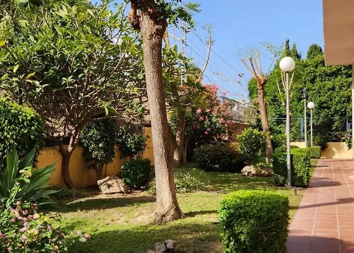 The Oasis Appartement